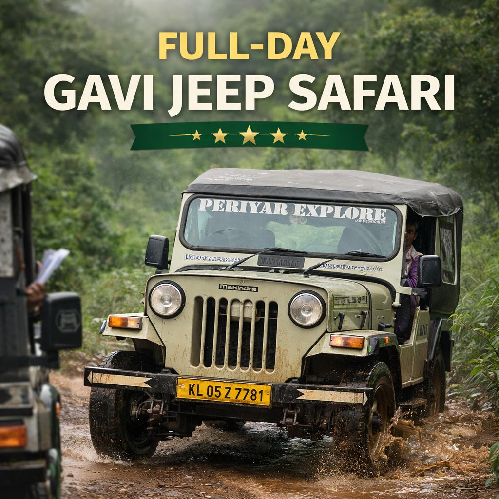 Full Day Gavi Jeep Safari