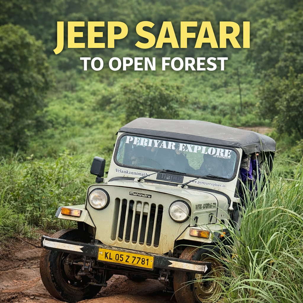 Jeep Safari to Open Forest