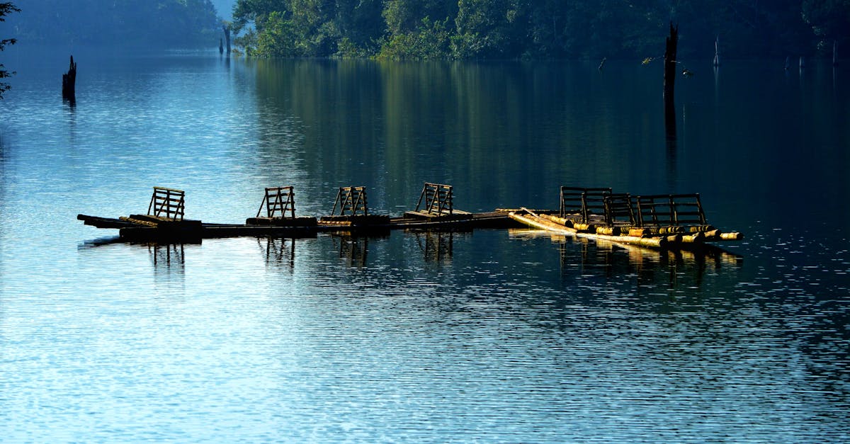 Wildlife and Eco Tourism Kerala