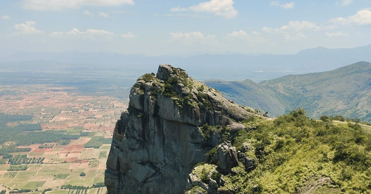 Western Ghats Tea Plantation Kerala