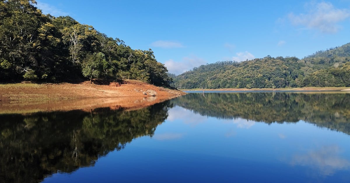 Pexels Photo 26969129 26969129