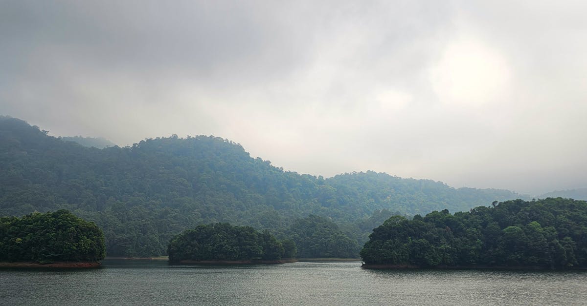 Family and Group Tours Kerala